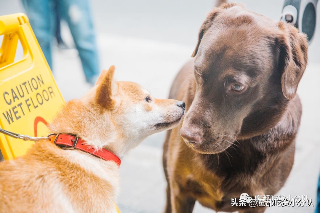 高考择校tips,高考择校指导985211