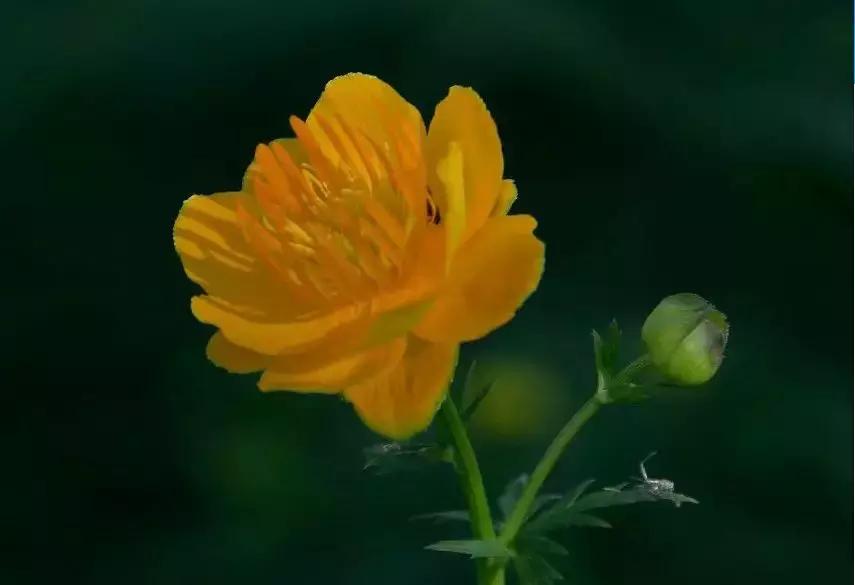 风里来雨里去上海,风里来雨里去重庆