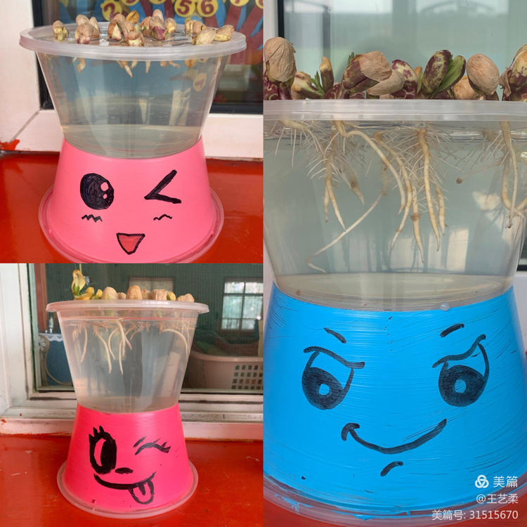 小角落大自然介绍,幼儿园大自然的奥秘主题墙创设