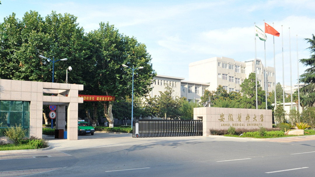 安医大临床医学院在安徽排名,安徽医科大学临床医学院最高分