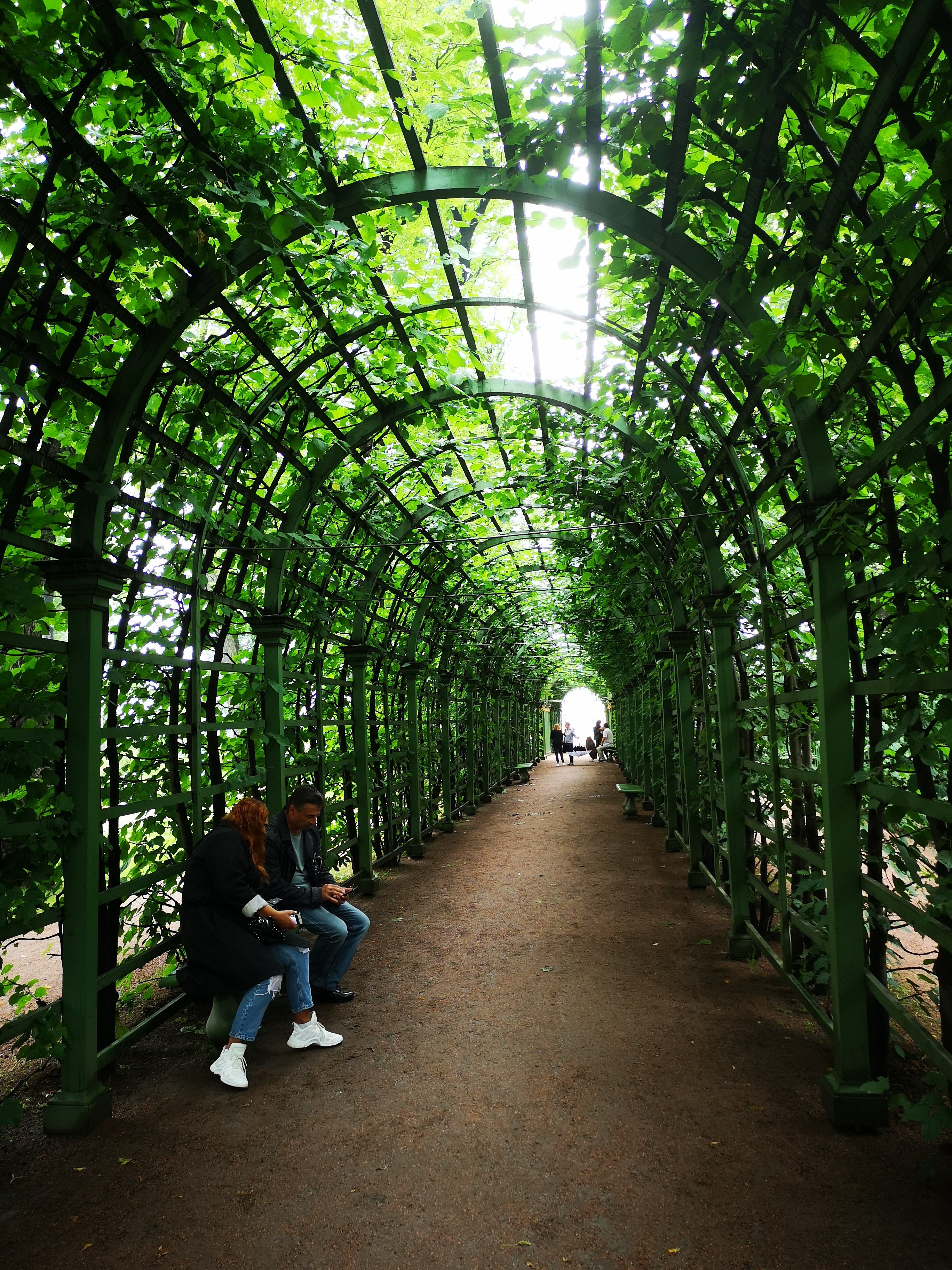 鑾柉绉戝湥褰煎緱鍫¤嚜鐢辫,鍦ｅ郊寰楀牎淇勭綏鏂嚜鐢辫