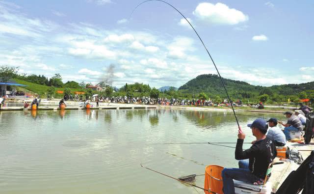 黑坑钓鱼和野钓的区别,为什么说野钓的钓不了黑坑