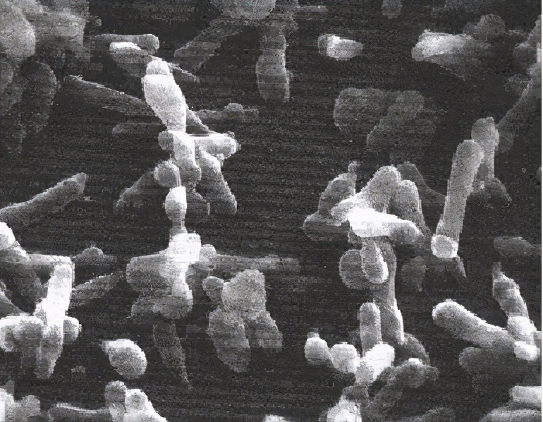 鸡群生病后有什么表现,鸡群出现瘫痪是怎么回事