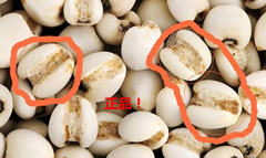 湿气重每天喝红豆薏米茶的表现,喝了红豆薏米茶湿气排出的表现