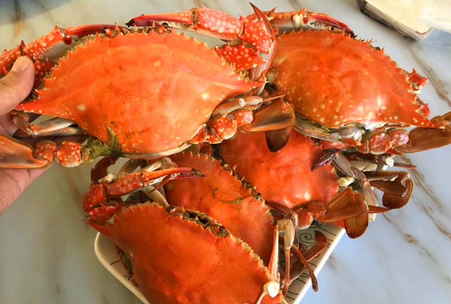 怎么挑螃蟹梭子蟹,怎样挑梭子蟹的简单方法窍门
