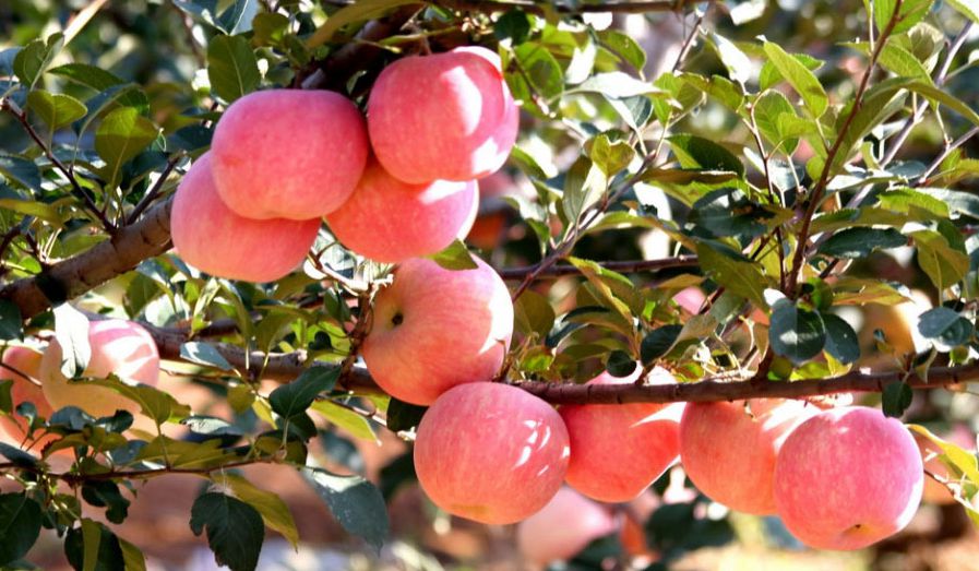 南京栖霞有什么风景区,栖霞哪里的风景最好