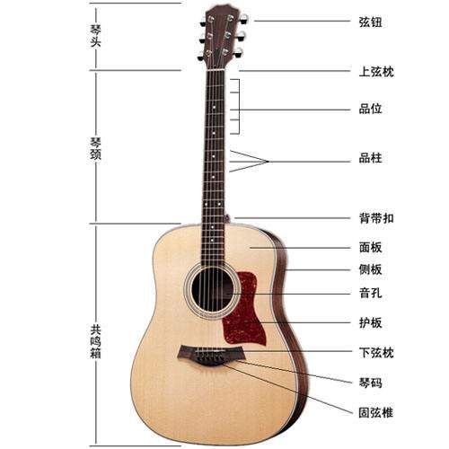 吉他新手选什么板,吉他新手选什么琴弦