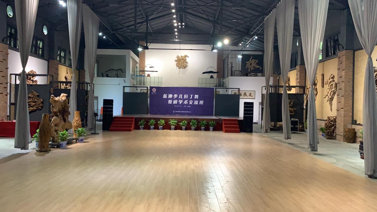 蓝池少儿舞蹈,蓝池少儿拉丁舞教学法怎么样
