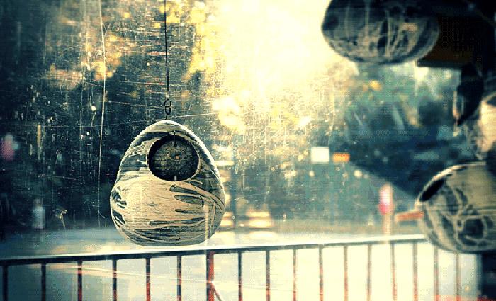 “因为一个微信红包，我倾家荡产”：哪有什么轻松暴富，踏实努力才是正路