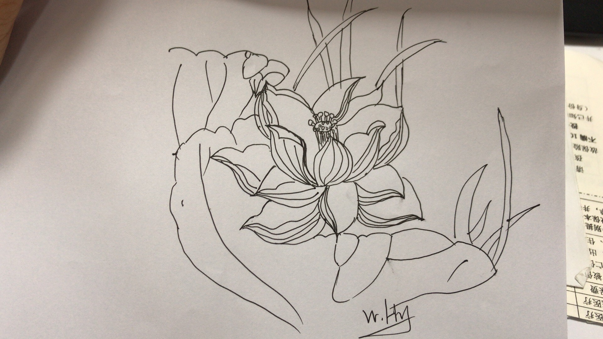 荷花简笔画10000例图片,蜻蜓的简笔画和荷花的简笔画