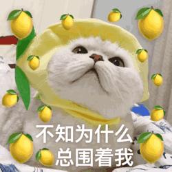 苏宁极物弘阳广场,苏宁极物美妆店无锡