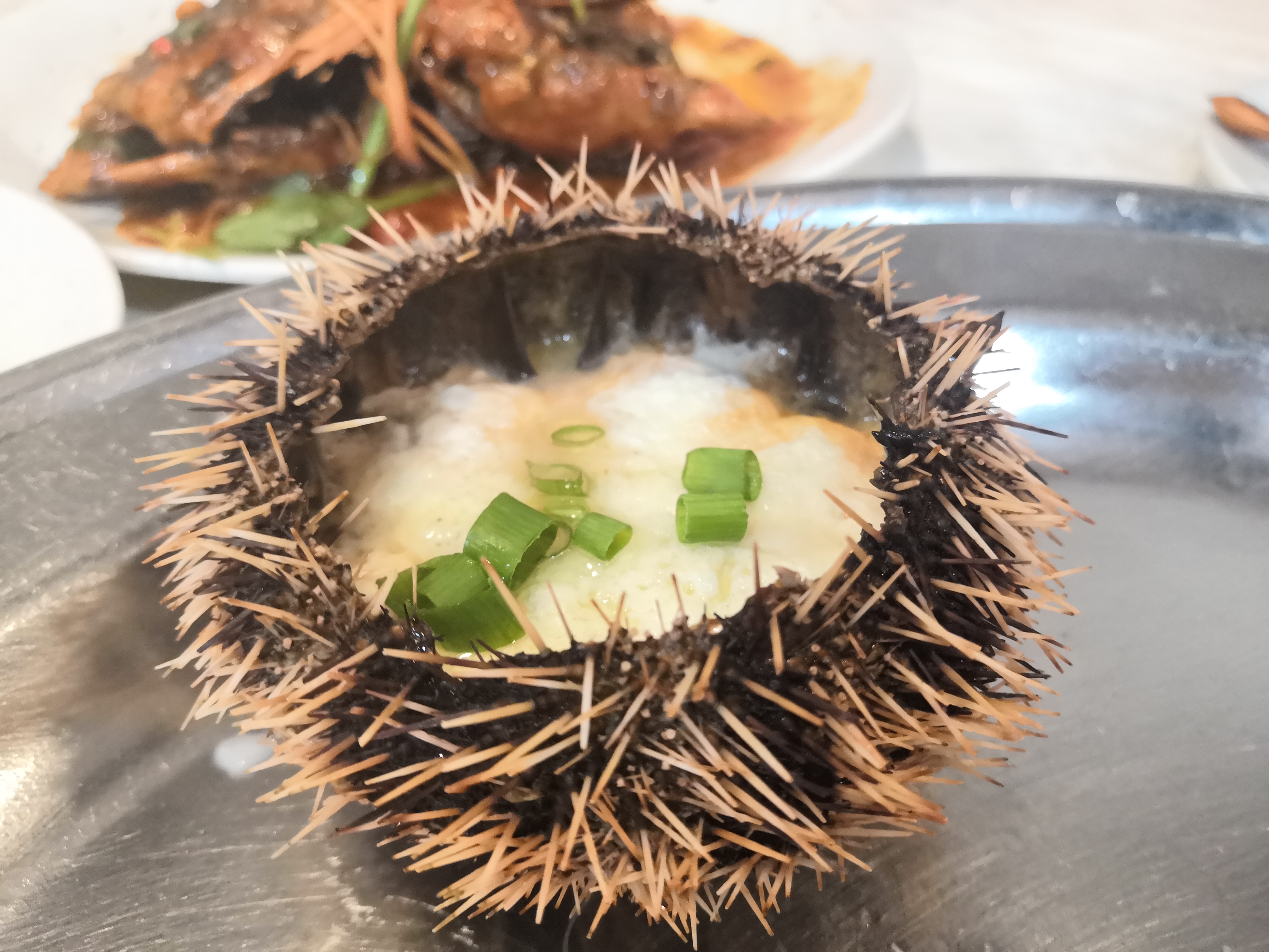 2018马来西亚之旅留影,2019回眸