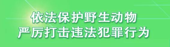 天津东疆亲海公园2022年开放吗,天津2022哪些公园恢复开放