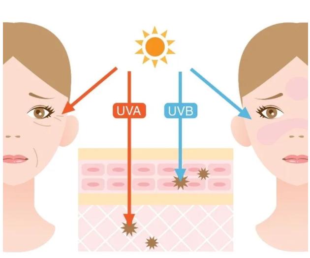 防晒等级划分,防晒等级50+