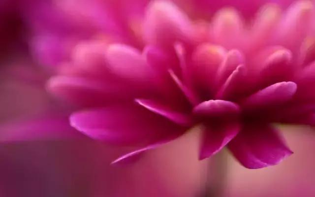 最无助的时候除了坚强别无选择,最无助的时候一切靠自己