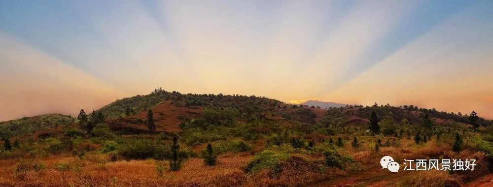 朱虹江西省人大,朱虹江西