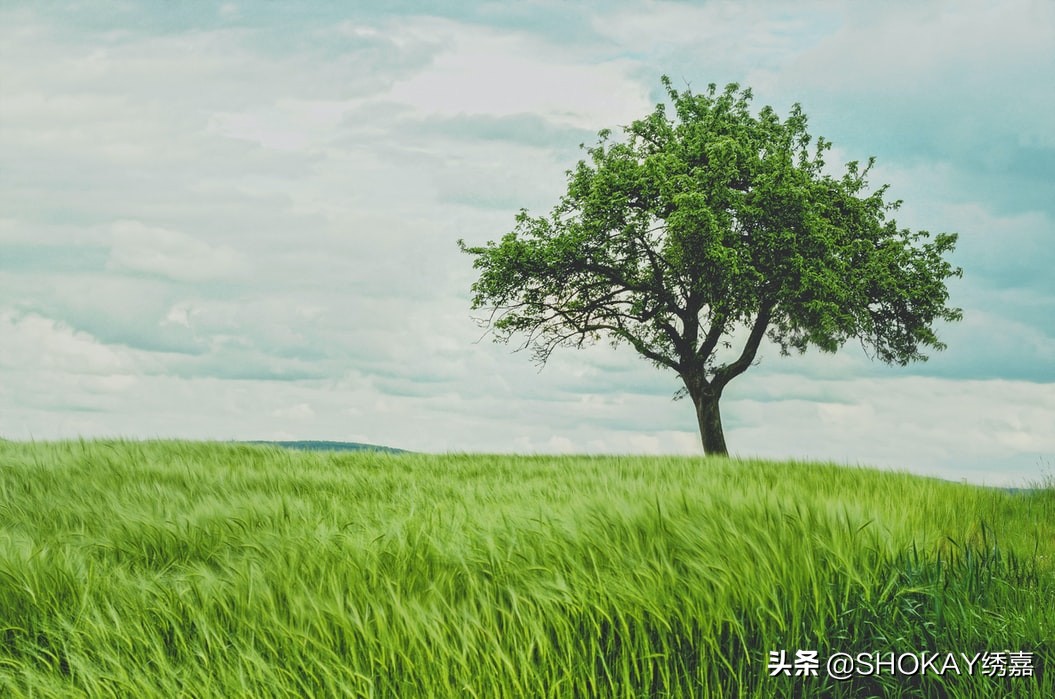 环保棉和橡胶棉,环保再生棉布