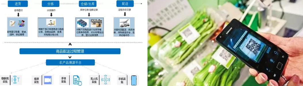 乡村振兴五个振兴内容,乡村振兴5g创新服务平台项目