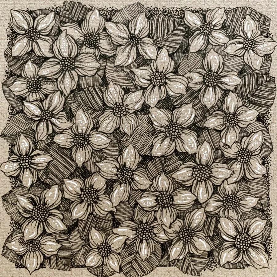 一看就懂的针管简笔画,针管笔入门手绘1000例临摹图