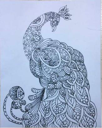 孔雀线描小学生一等奖画大全,黑色卡纸高光笔线描创意画孔雀