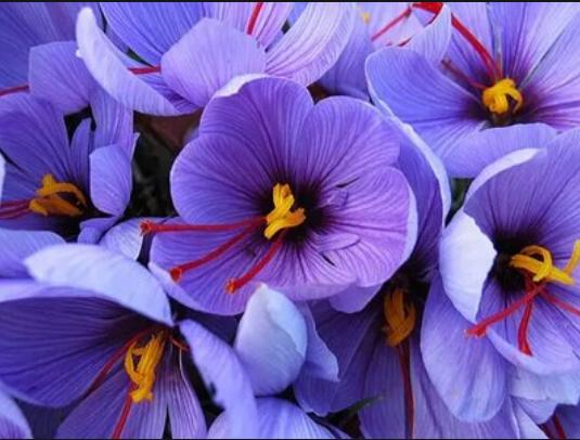 黑历史是通过什么被扒出来的,黑历史怎么才不被扒出