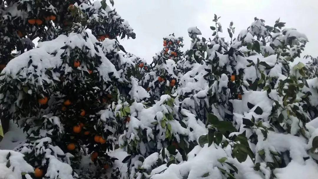 留守老人心酸,心酸留守老人