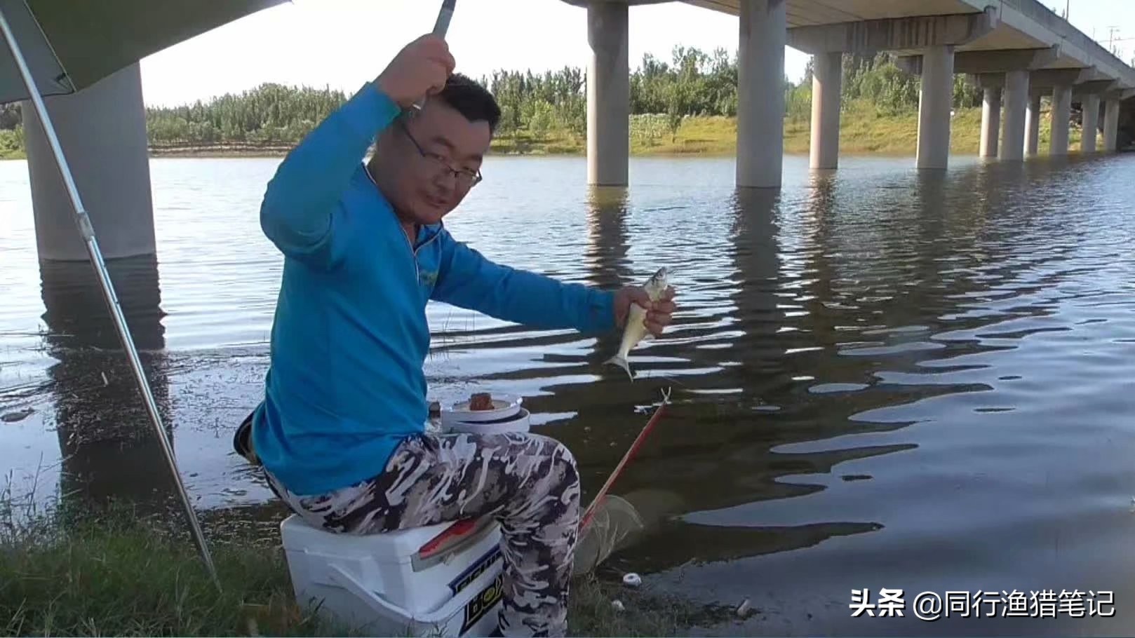 浅水钓鱼最佳方法,浅水钓鱼法