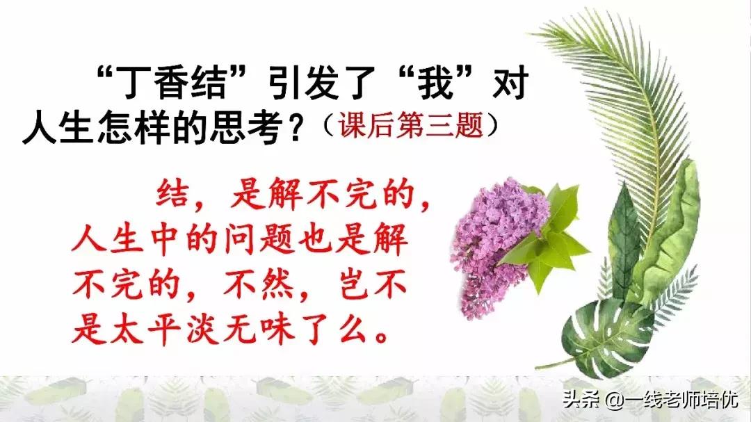 六年级上册第二课丁香结知识点,部编版六年级上册语文丁香结预习