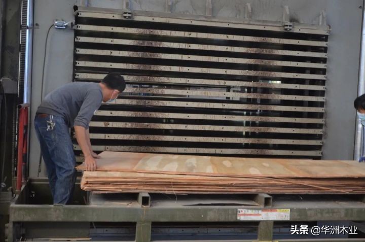 华洲木业多层板价格,华洲木业实木多层板