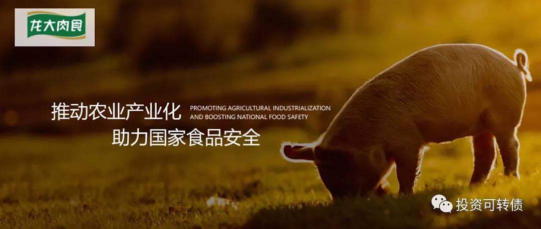 龙大肉食业绩大全,龙大肉食2022营业收入