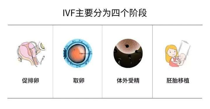 试管婴儿促排卵6大注意事项,试管婴儿促排卵期间22个注意事项