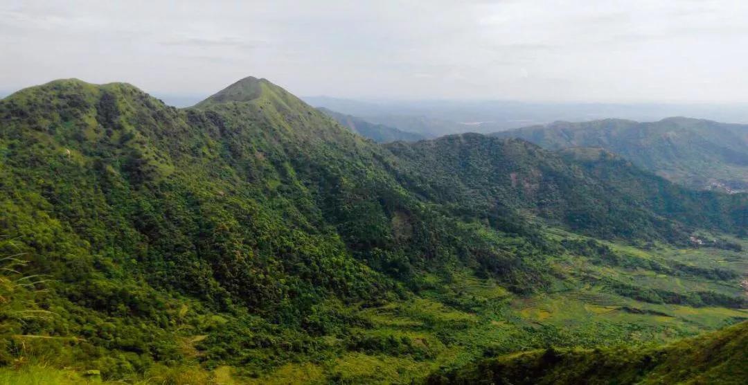 壮乡水业：水深鱼大，未来可期|论道网专访