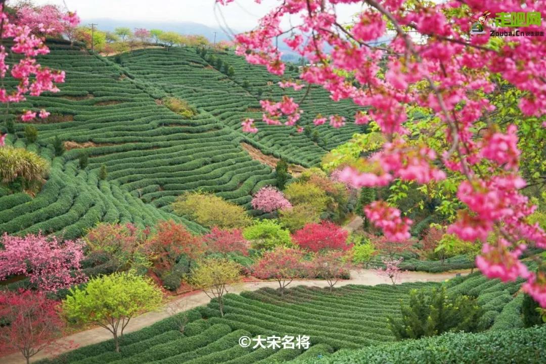 春节你的爱车可以停到这些地方,要过年了你的爱车保养了吗