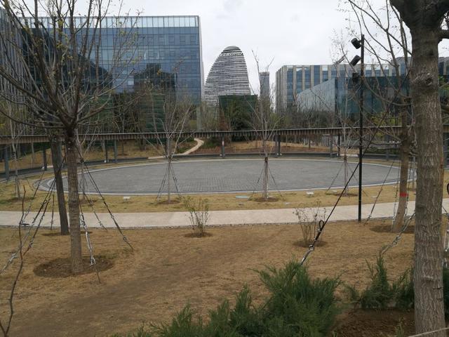 北京望京cbd什么时候开发的,北京望京核心地段