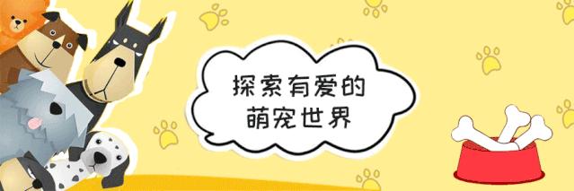 全网销量前三的怡亲、宠宠熊、诺比瑞，被虐成渣渣