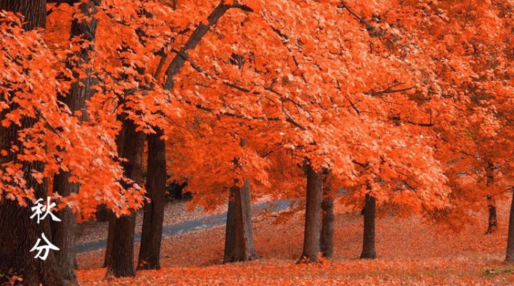 二十四节气秋分,二十四节气秋分养生先养肺