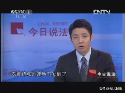 撒贝宁湖北人,撒贝宁武汉伢歌曲视频