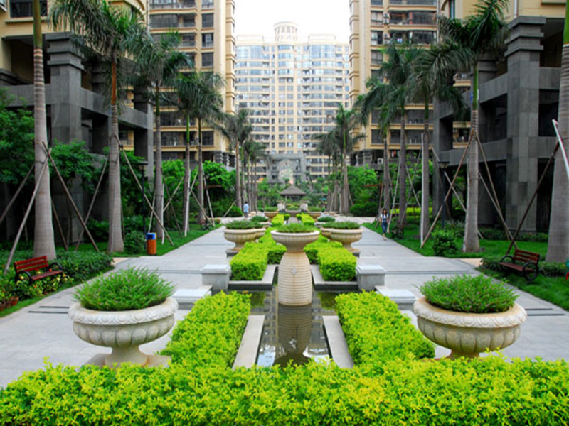 园林绿化苗价格查询,绿化栽苗人工每平方价格