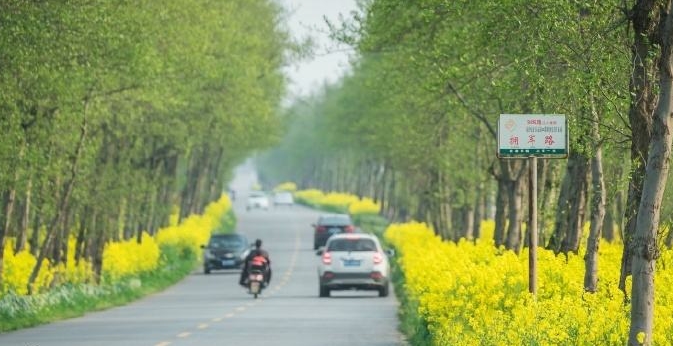 皖南旅游攻略自驾四日游最佳路线,皖南自驾游大环线攻略最佳线路