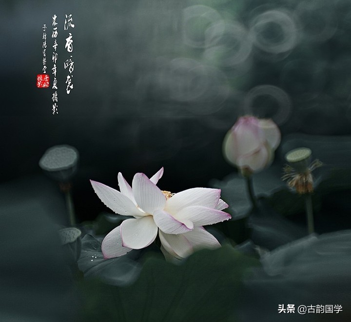 古代客套话那么富有诗意 (古人客套话大全)