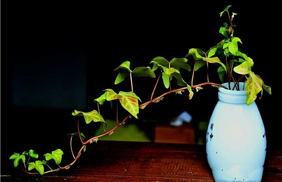 英语四级常考词汇,英语合格考常考基础词汇