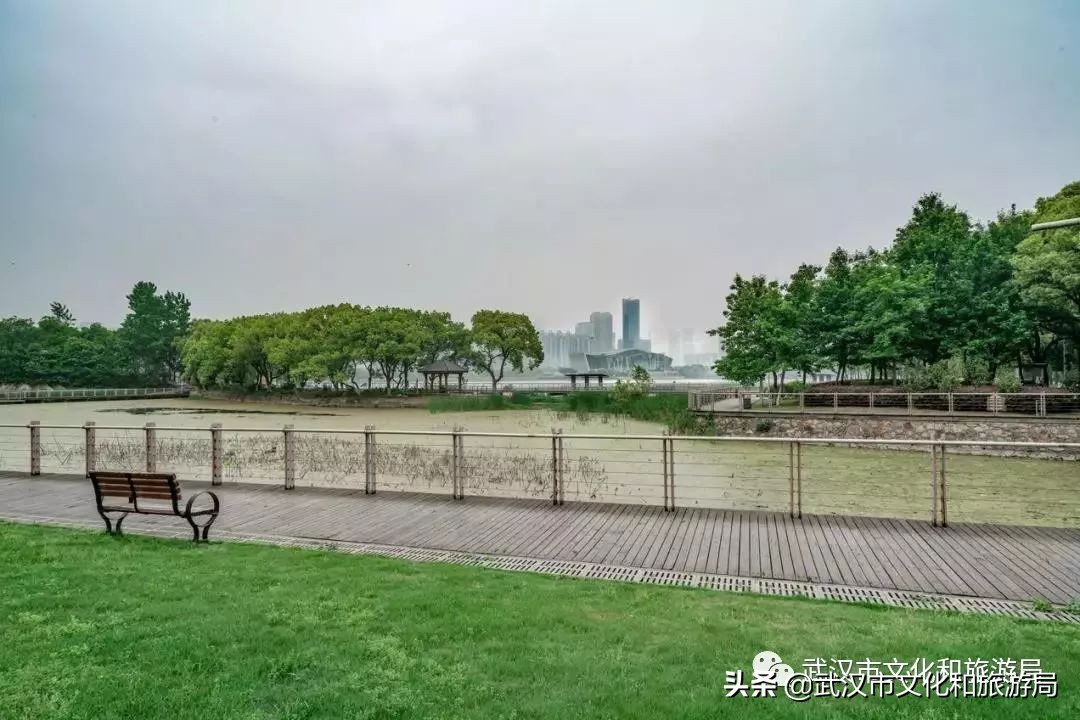 武汉环城绿道,武汉上半年全线贯通的新绿道