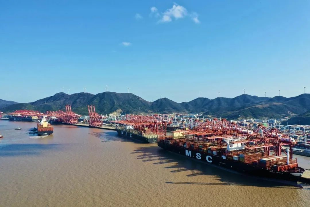 集装箱码头运营商,全球集装箱码头运营商年报