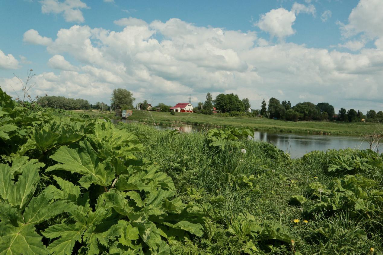 佳能最值得收藏的手动胶片相机,佳能微单入门级相机推荐