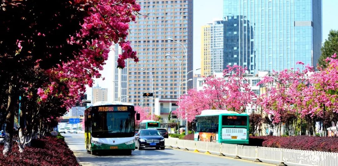 被大理丽江掩盖风头又怎样？它才是云南No.1！5月它太美了