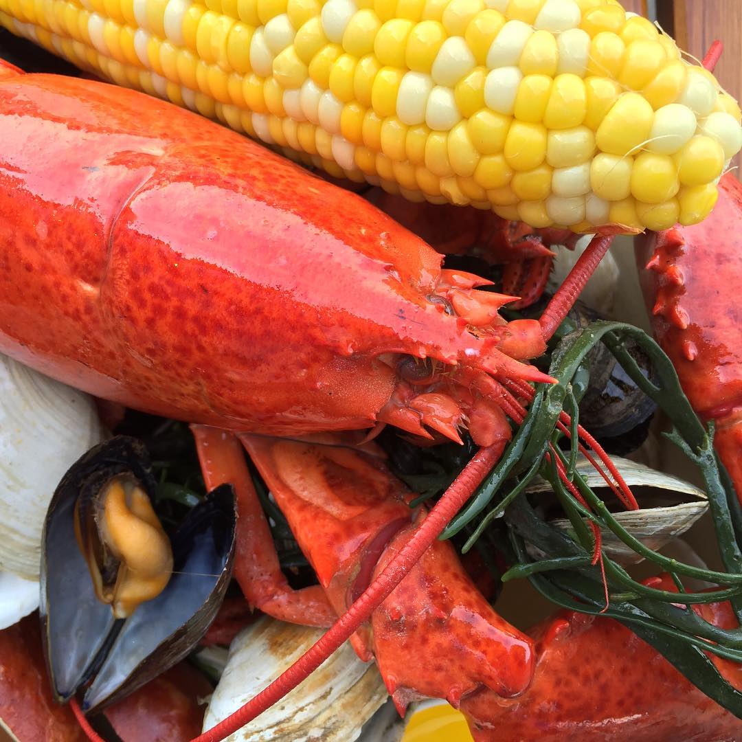 吃货看过来吃葡萄,吃货看过来美食也能开花