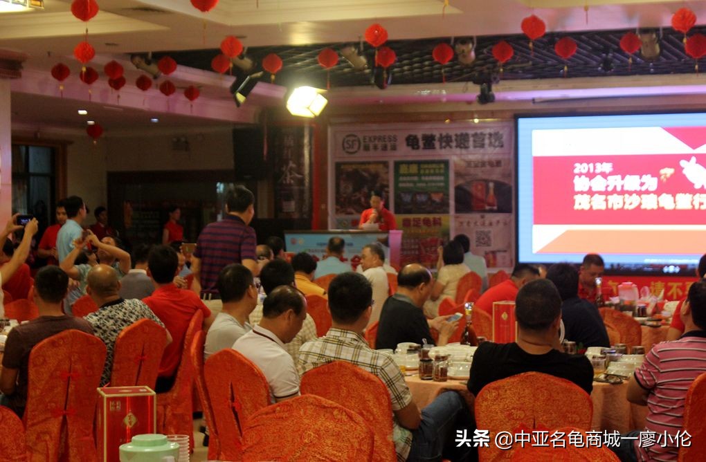 沙琅龟协会,沙琅乌龟协会