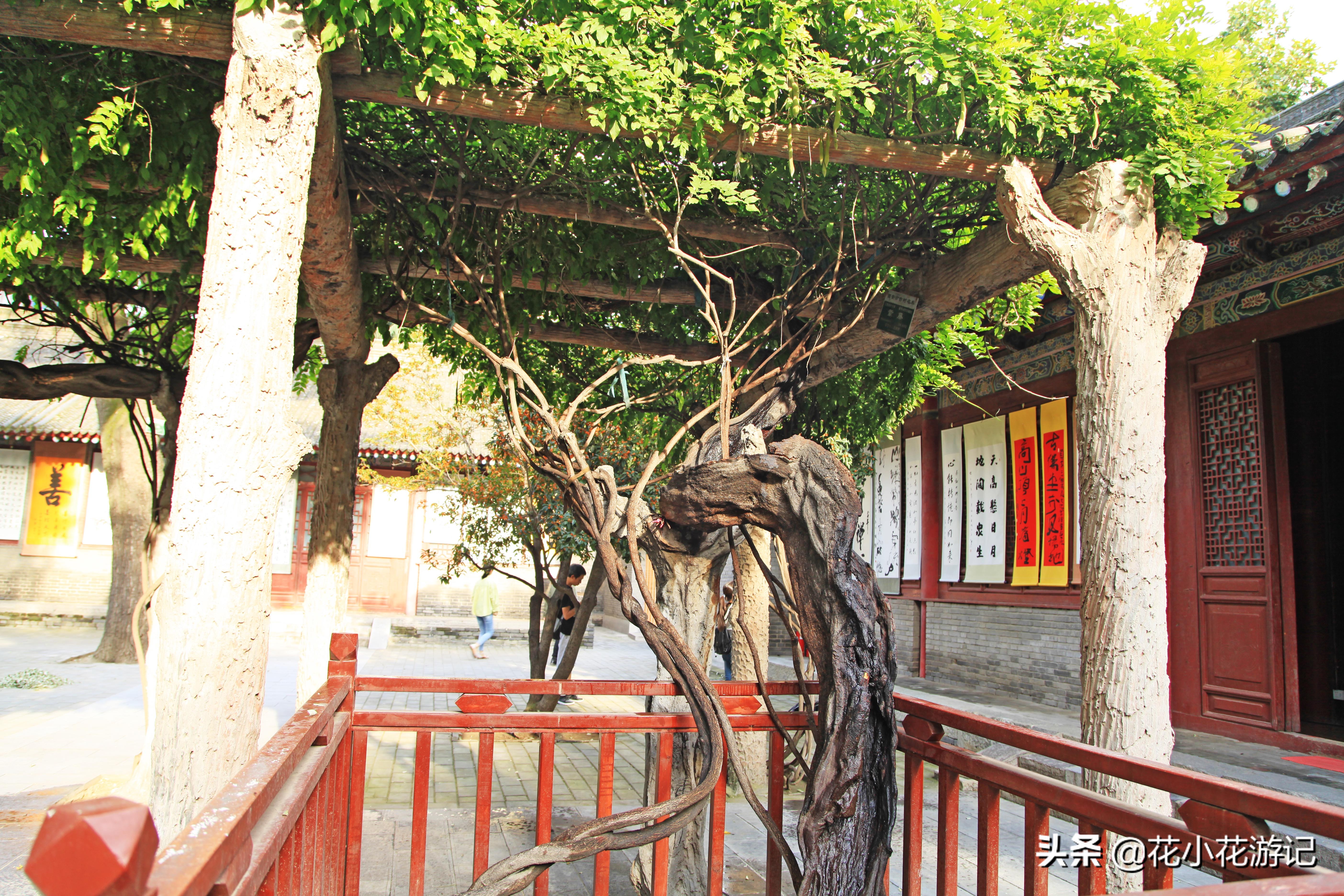 澶у叴鍠勫鐨堜緷娉曚細,澶у叴鍠勫澶ч泟瀹濇绁堢璇电粡