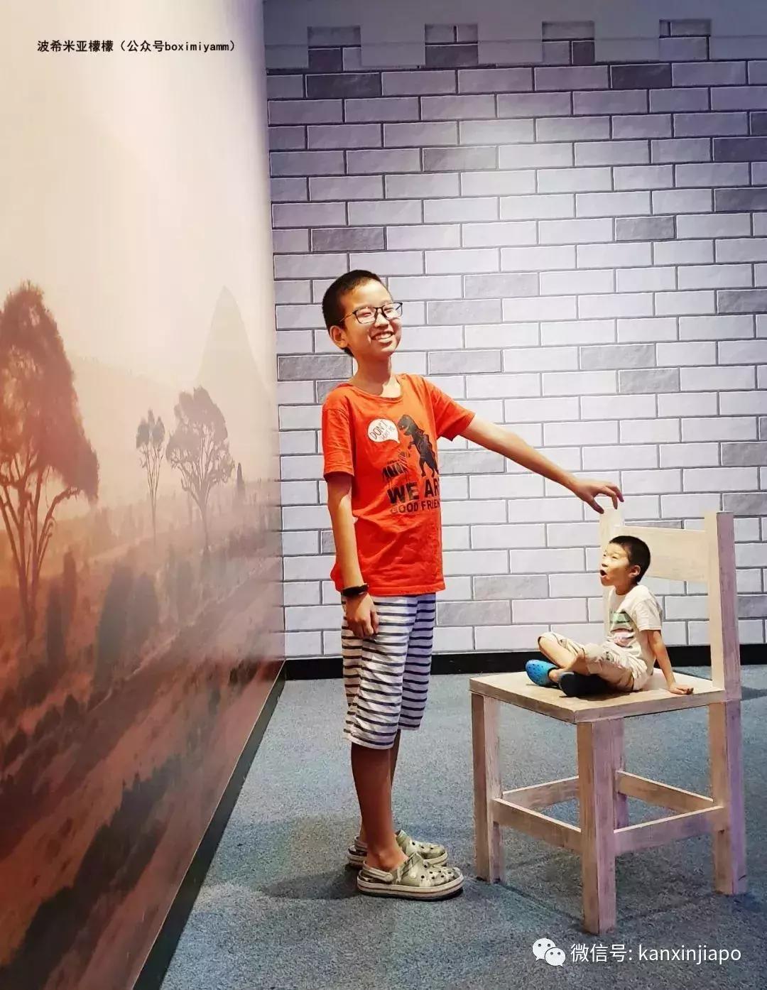 新加坡科学艺术博物馆值得去吗,新加坡必去十大科学馆