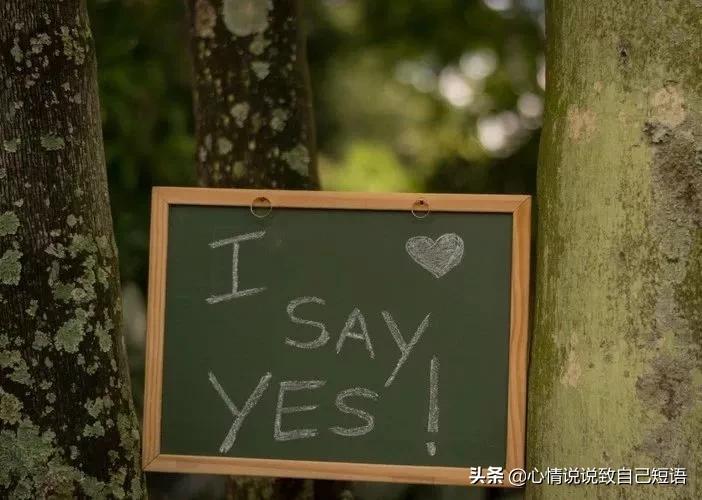 朋友圈适合宣布结婚的短句,结婚发朋友圈一句话经典句子